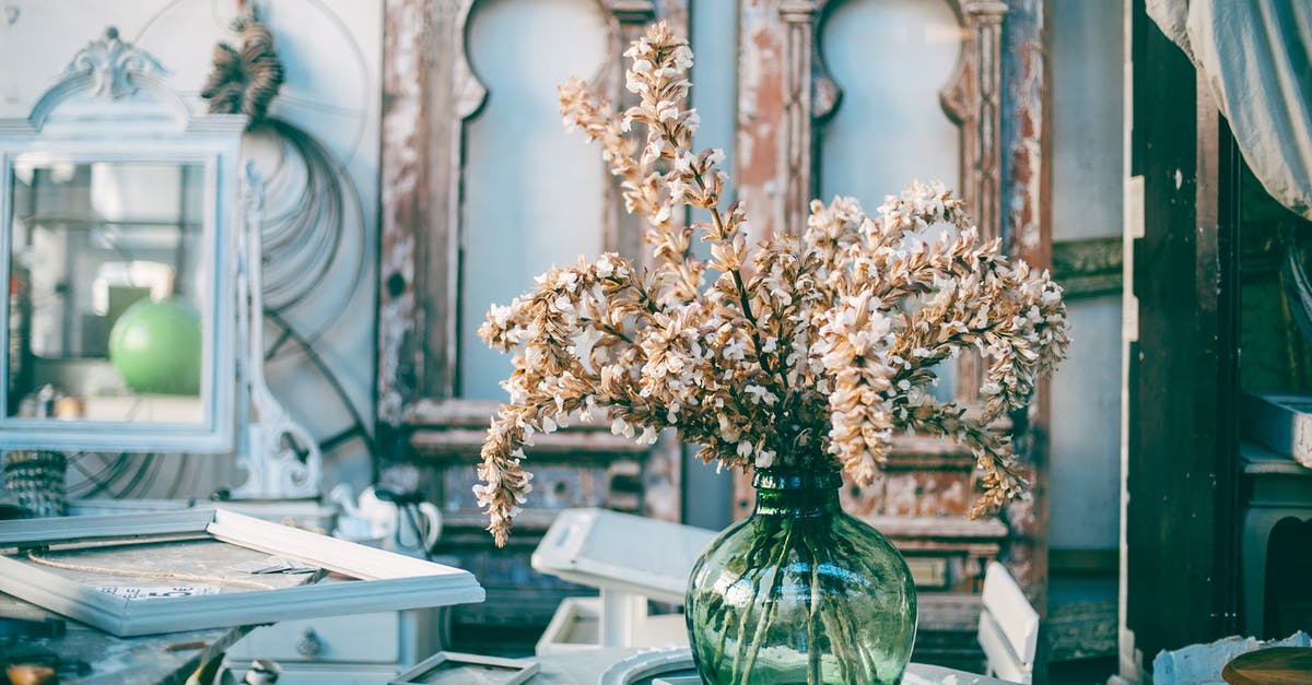 Does the cartography workshop where Christopher Columbus lived in Lisbon still exist? - Bunch of delicate flowers in glass vase placed on table amidst various empty frames in stylish cozy art workshop