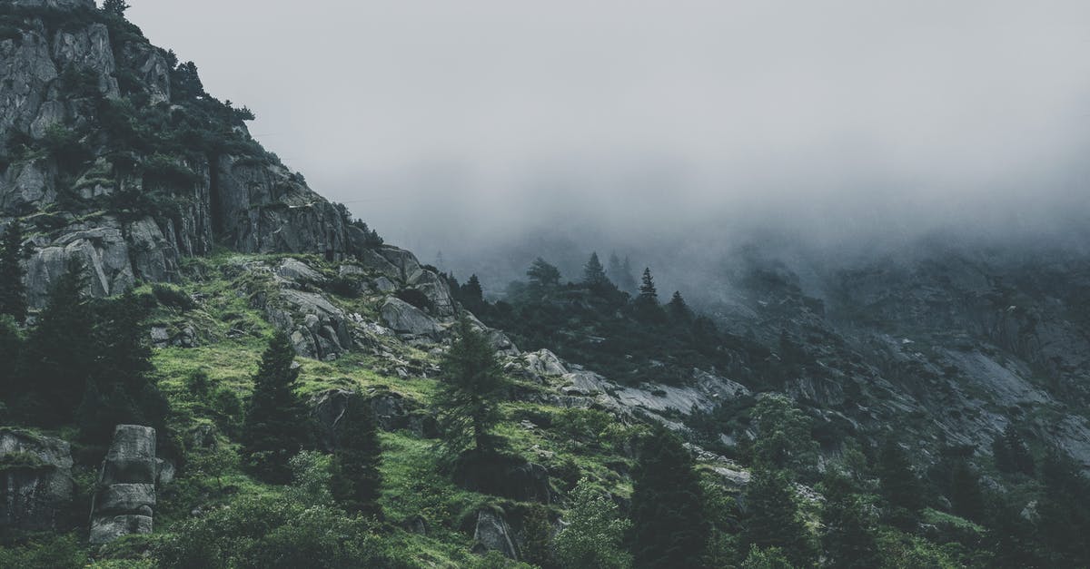 Does this painting depict the Alps or Rockies? - Green Leafed Trees during Fog Time