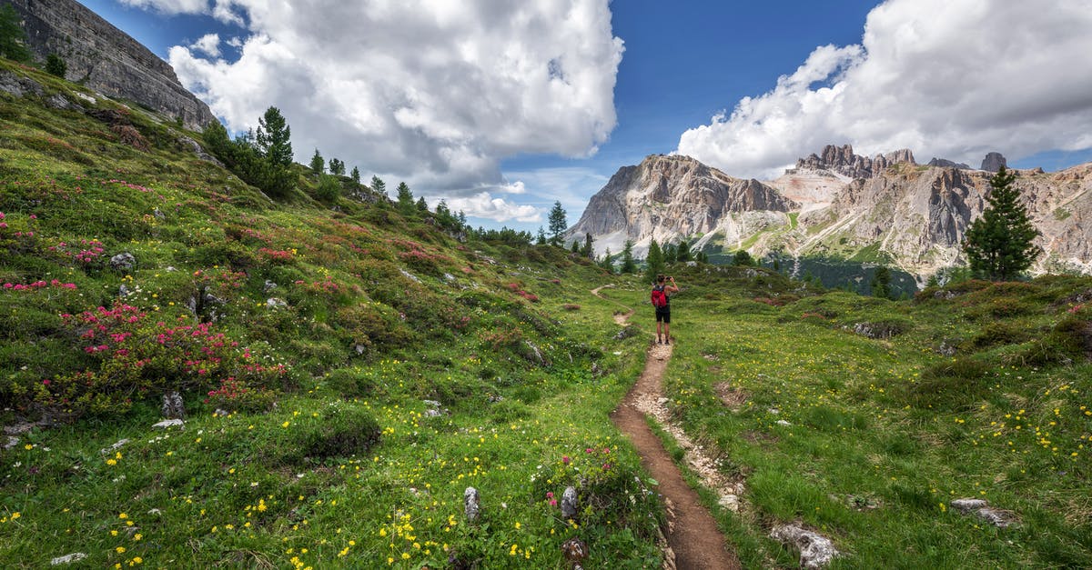 Does this painting depict the Alps or Rockies? - Person Waking on Hill