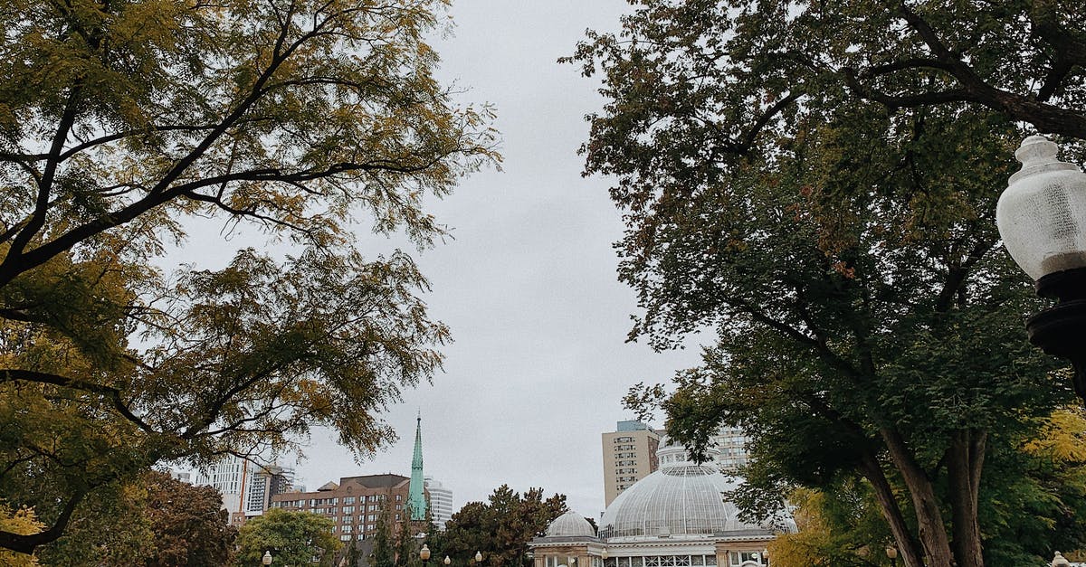 Does visitor status to Canada require an outgoing flight? - Green Trees Near White Building