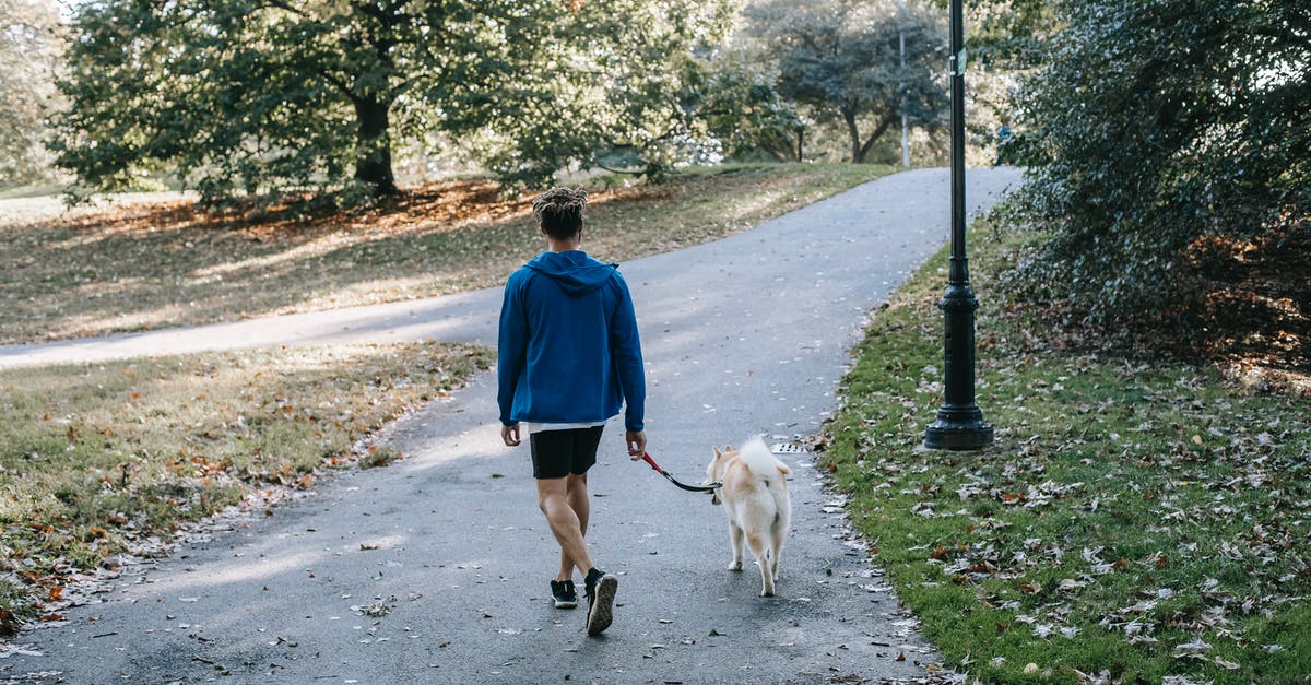 Dog passport in EU, Vet on way back? - Anonymous guy with purebred dog walking in green park