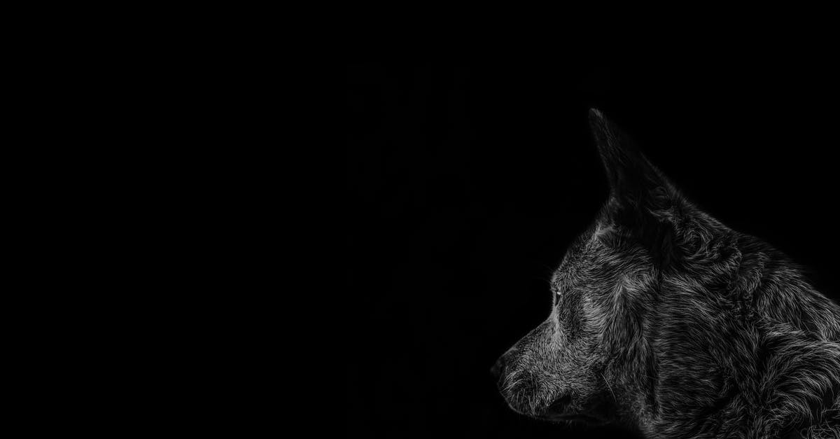 Dog registration - Australia - moving around areas [closed] - Gray Timber Wolf