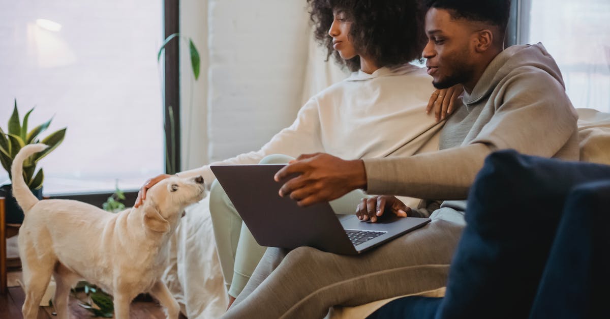 Domestic connection times at Melbourne airport - Black couple browsing laptop and playing with dog at home