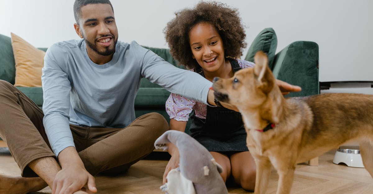 Domestic flights for foreigner in Colombia - Man in Gray Crew Neck Shirt Holding Brown Short Coated Dog