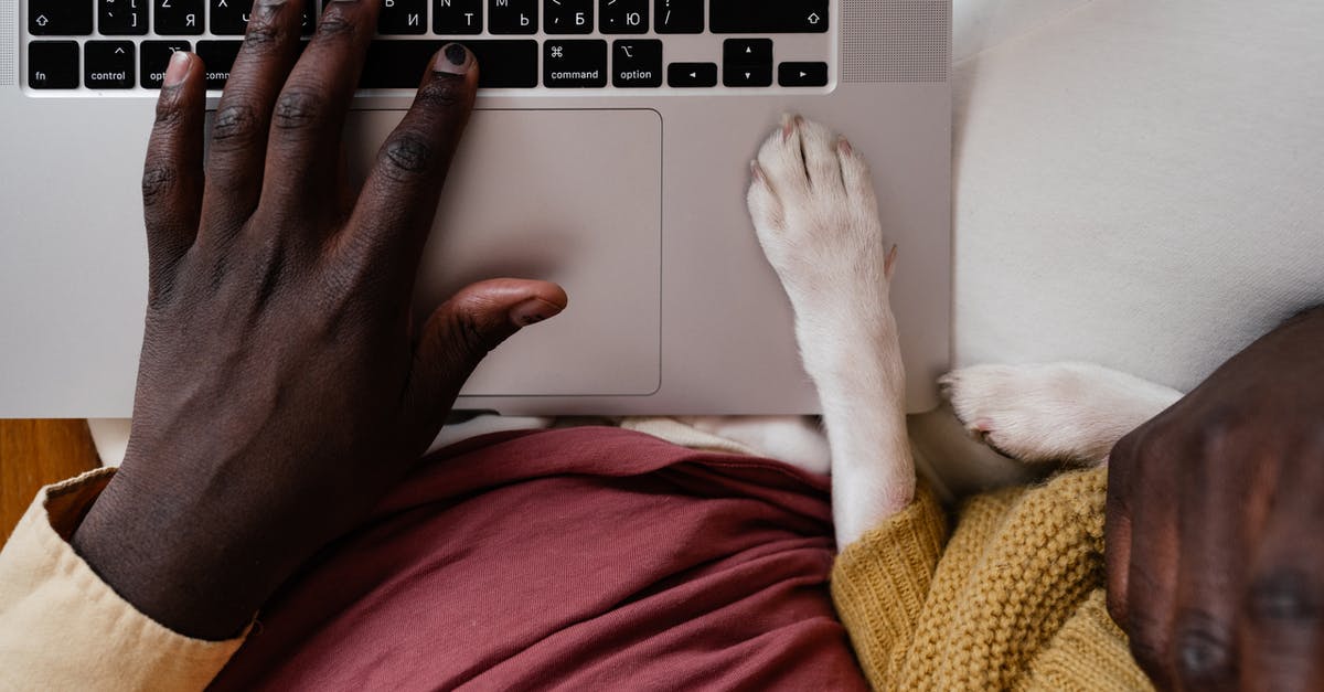 Domestic to International connection at LAX - Top view of crop unrecognizable African American male typing on netbook with paw of dog aside