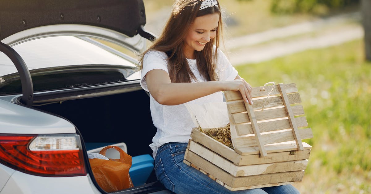 Don't want to collect luggage in connecting flight - Smiling young woman with wooden box near automobile during car travel in nature
