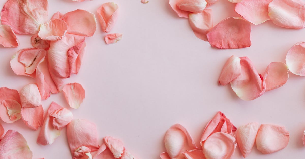 Dried rose petals -- permissible for airplane - Composition of pink petals on pink surface