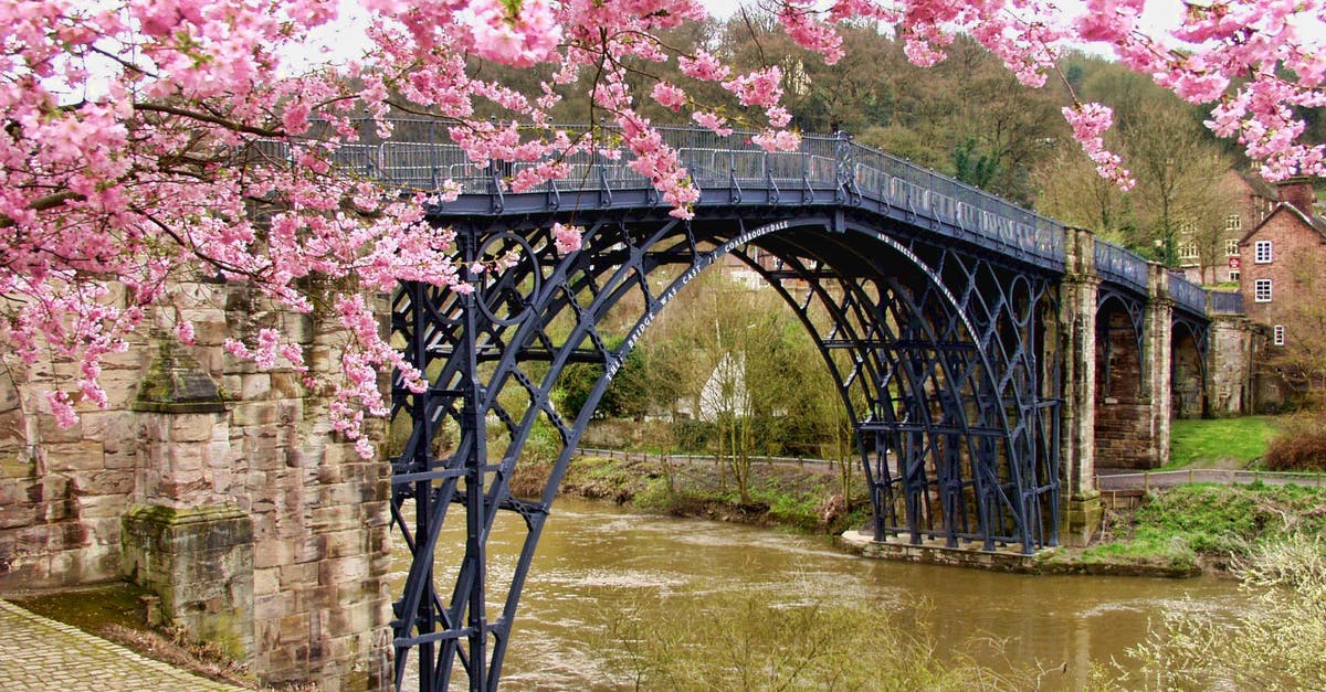 Drinking from the Chalice Well in Glastonbury (Sacred Spring in England) - Cherry Blossom Tree Beside Black Bridge