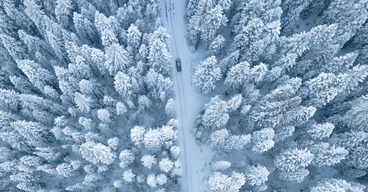 drive from China to UK in Chinese registered car - Aerial Photography of Pine Trees Covered With Snow