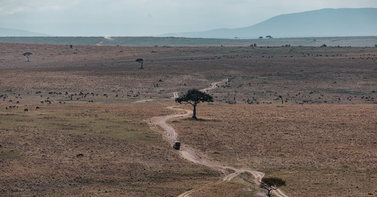 Driving a truck from UK to Africa for charity [closed] - Roadway among field in savanna in daytime