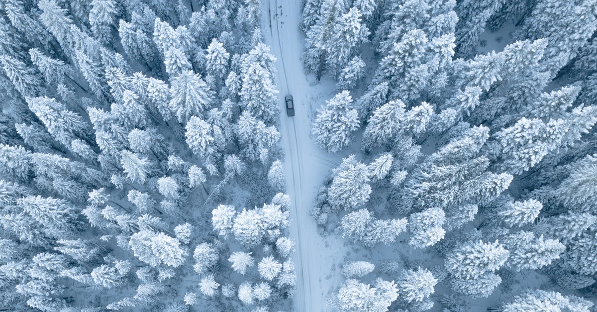 Driving from Belgium to Portugal - Aerial Photography of Pine Trees Covered With Snow