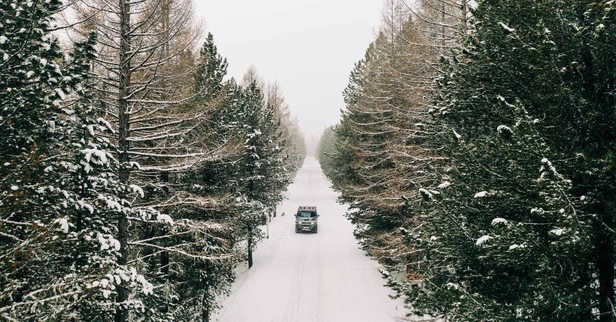 Driving into Belarus - Snow Covered Road Between Trees