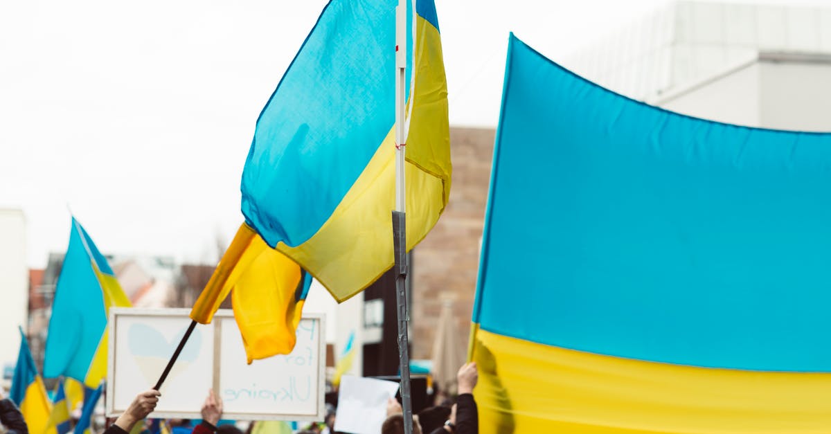 Dual Citizen, leaving US to Travel to EU on EU passport - People Gathering on a Street With Flags Dual Citizen, leaving US to Travel to EU on EU passport - People Gathering on a Street With Flags