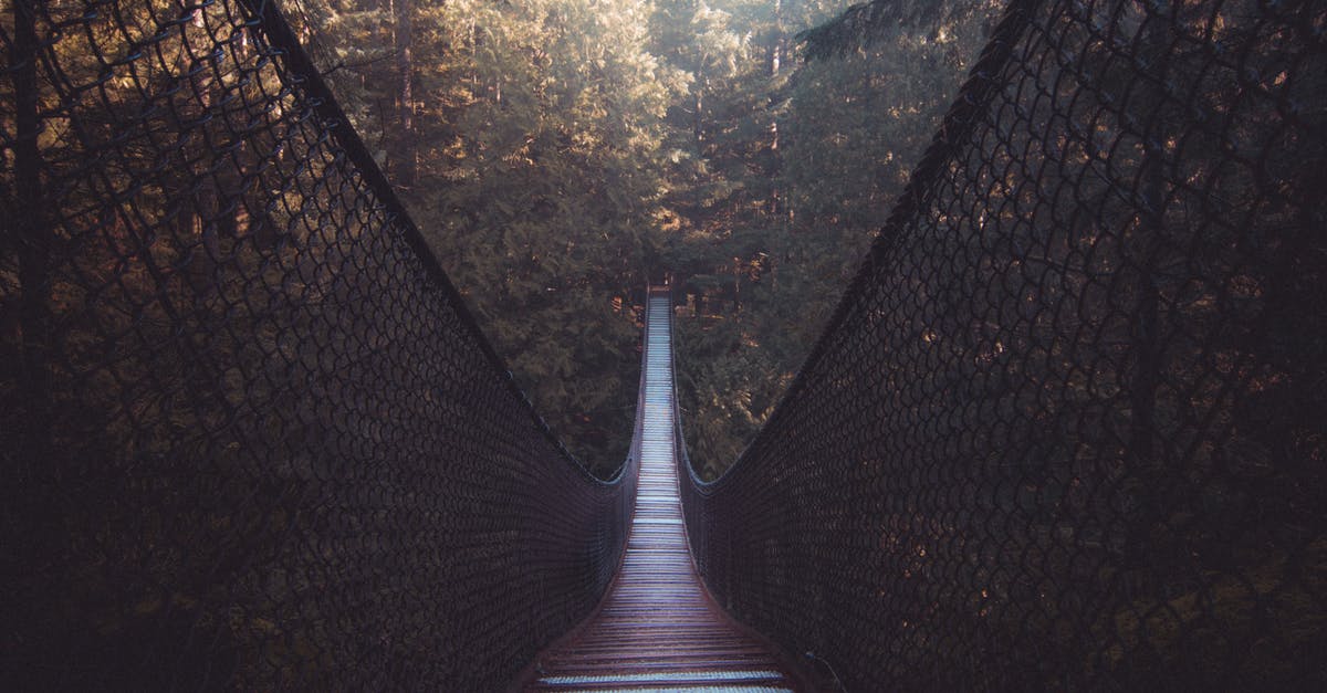 Dual Citizen (US-Iranian) seeking travel to Canada. Visited Iran 2011 - Suspension bridge in coniferous forest in sunny weather