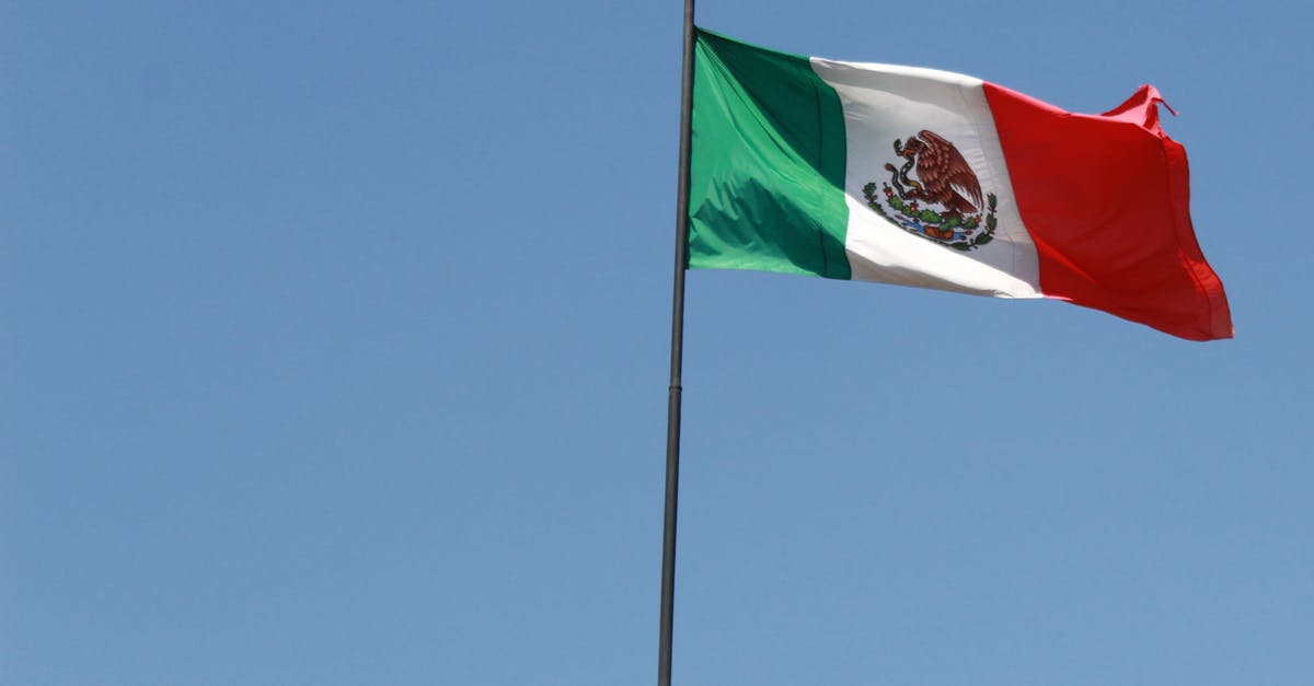 Dual National exiting Mexico with Expired Passport - A Mexican Flag Blowing with the Wind