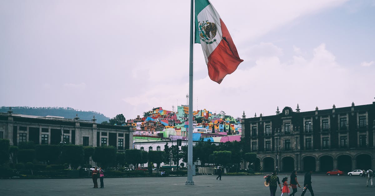 During what hours does the Chinese consulate in Mexico City accept visa applications? - People Near Mexican Flag