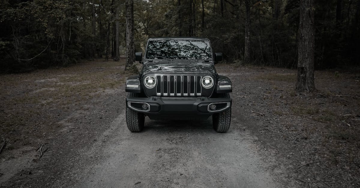 Dushanbe to Bishkek overland - options? - Black Jeep Wrangler on Dirt Road Surrounded by Trees