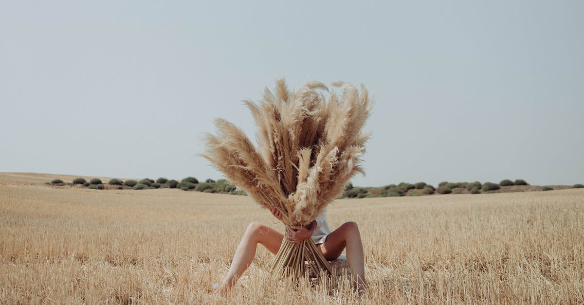 Ear protection on long flights? - Unrecognizable woman hiding behind dried grass