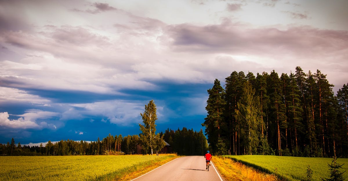 Easy bicycling trips in Belgium? - Road Amidst Trees in Forest Against Sky