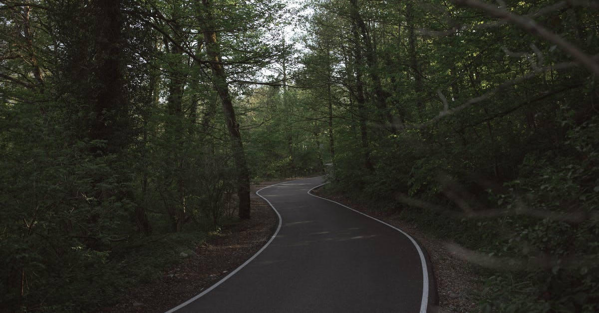 Ecuadorian traveling to Sochi via Heathrow - Photo of Paved Pathway Between Trees