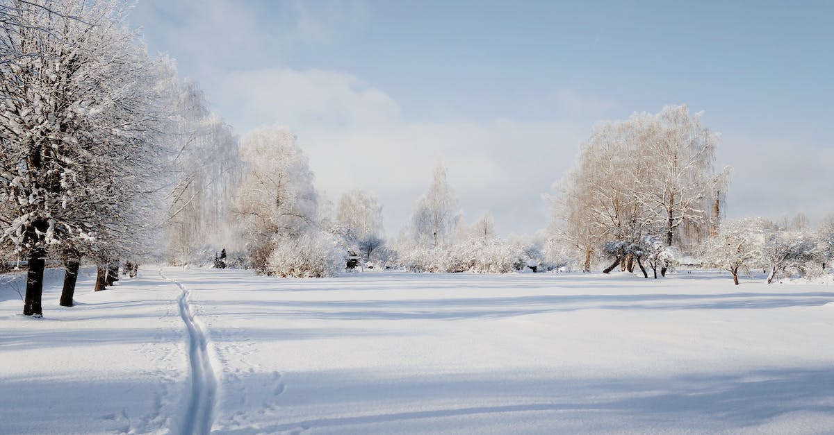 Elephant Park within a day trip from Bangkok - Ski tracks on snow on sunny winter day