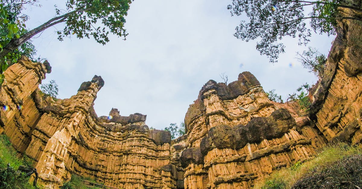 Elephant Trekking in northern Thailand - Low Angle View of Brown Ruins Near Green Leaf Trees