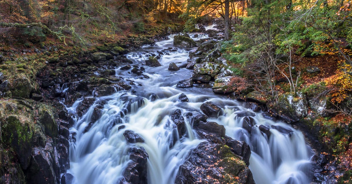 Encountering Weasels in the Wild in Scotland - Time Lapse Landscape Photo of River