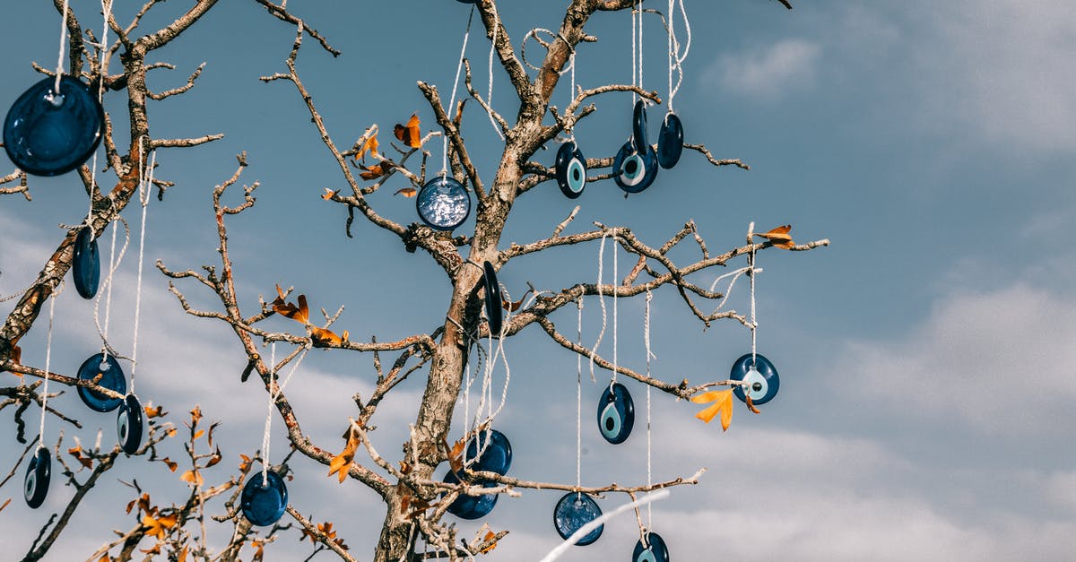 Enter Turkey from Budapest [duplicate] - From below of traditional blue eye shaped nazar amulets protecting form evil eye hanging on leafless tree branches against cloudy blue sky in Cappadocia