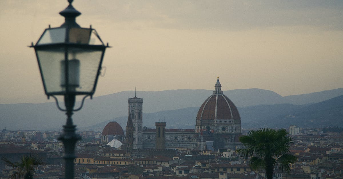 Entering Italy with Australian travel document - Black Street Light Near City Buildings