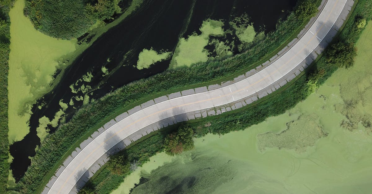 Entering US with ESTA only, when B1/B2 visa would be required - Aerial View of Curved Road Between Green Shrubs