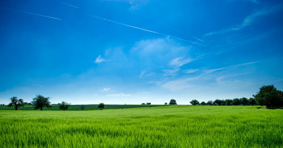 ESTA - Air or Land? - Panoramic Photography of Green Field