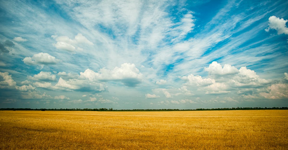 ESTA - Air or Land? - Photo Of Grass Field