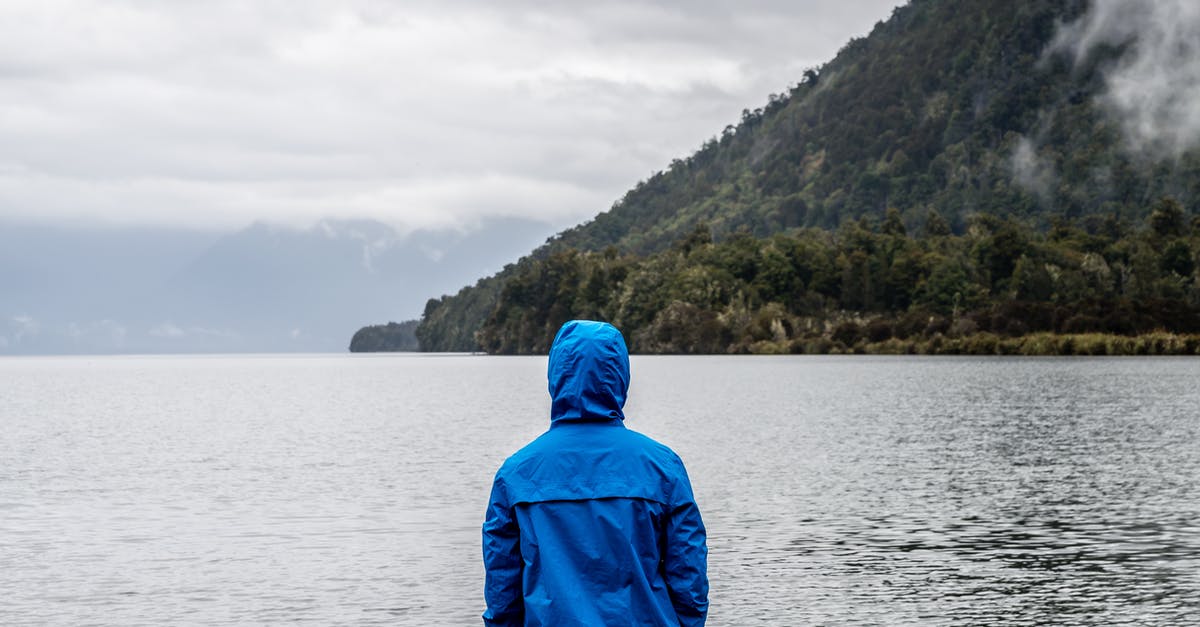 EU Blue card applied and travel back to India - Person Wearing Blue Hoodie Near Body of Water