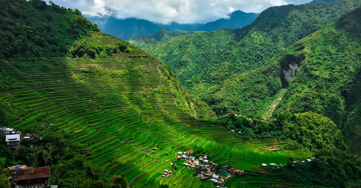 EU driver's license valid in the Philippines - Aerial Photography of Rice Terraces 