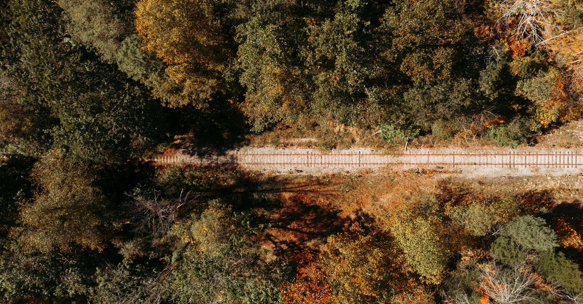 Euro Rail Pass in non-native country - Drone view of rural railroad through green forest