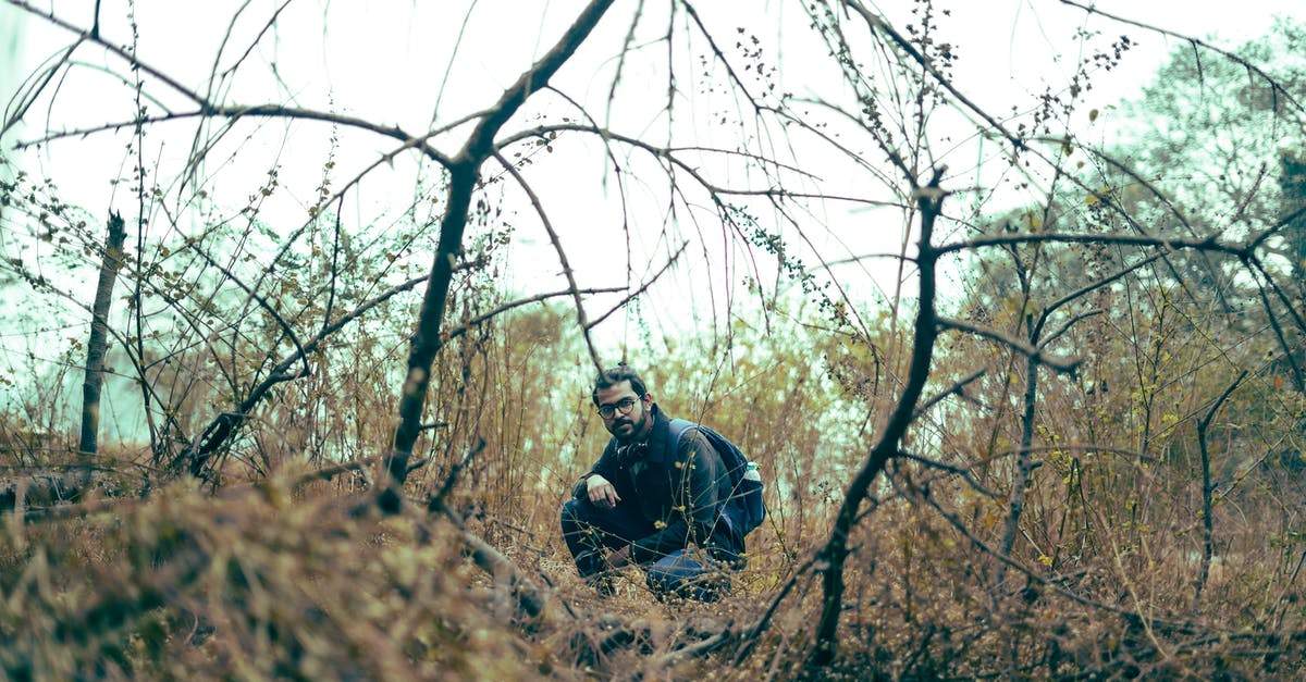 Exploring Mainland UK with an Isle of man visa - Man Crouching Between Leafless Bushes and Dry Grass in Autumn 