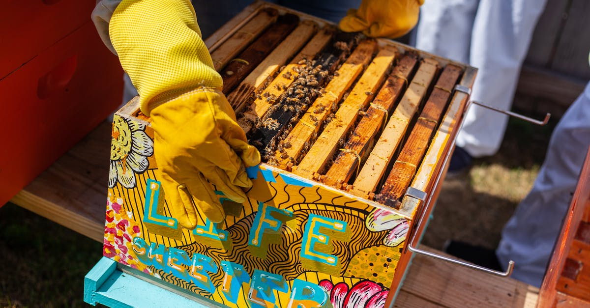 Exporting a queen bee from Australia to Beirut - Brown Wooden Crate With Bees