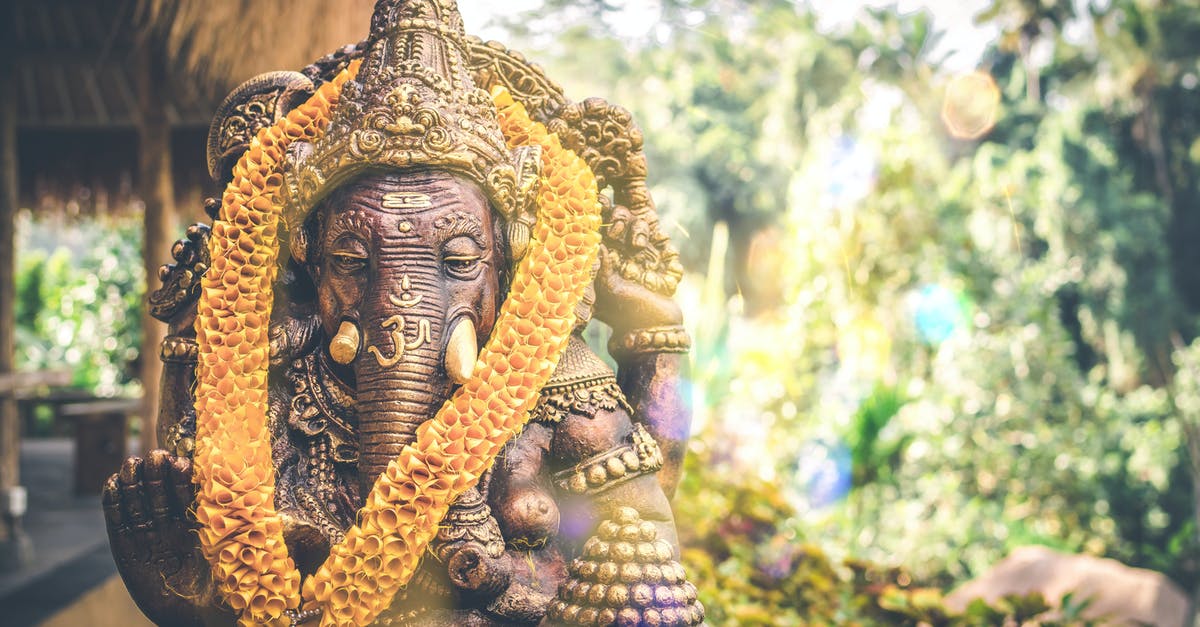 Extra luggage in India [closed] - Brown Ganesha Figurine