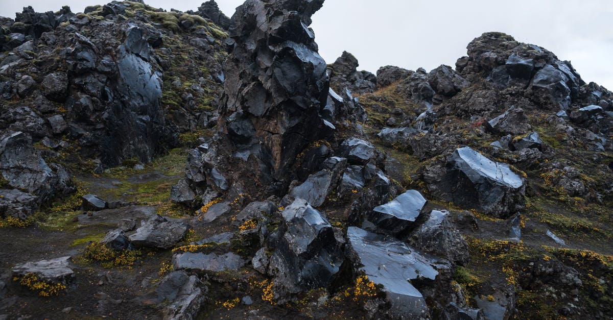 Ferrying Icelandic rental car vs renting on Faroe Islands - From below of wet black rocks on seacoast overgrown with yellow and green northern moss on cloudy day