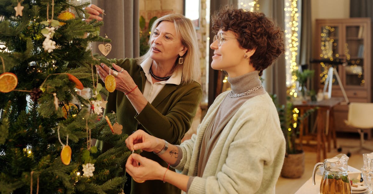 Filing mother's B2 visa extension - Do I need to mention myself as Preparer & Interpreter mandatorily? - Mother and Daughter Decorating a Christmas Tree Filing mother's B2 visa extension - Do I need to mention myself as Preparer & Interpreter mandatorily? - Mother and Daughter Decorating a Christmas Tree