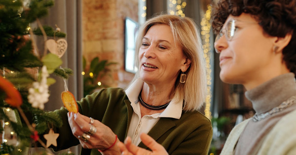 Filing mother's B2 visa extension - Do I need to mention myself as Preparer & Interpreter mandatorily? - Mother and Daughter Decorating a Christmas Tree Filing mother's B2 visa extension - Do I need to mention myself as Preparer & Interpreter mandatorily? - Mother and Daughter Decorating a Christmas Tree