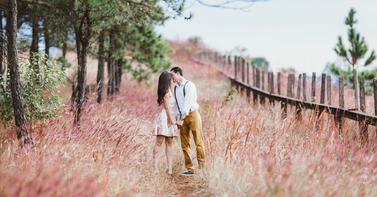 Filipino partner applying for Schengen visa while processing marriage annulment - Couple Kissing Beside Trees