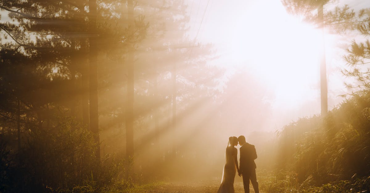 Filipino partner applying for Schengen visa while processing marriage annulment - Back view of anonymous bride and groom holding hands while standing in woods near trees against bright sun beams in nature