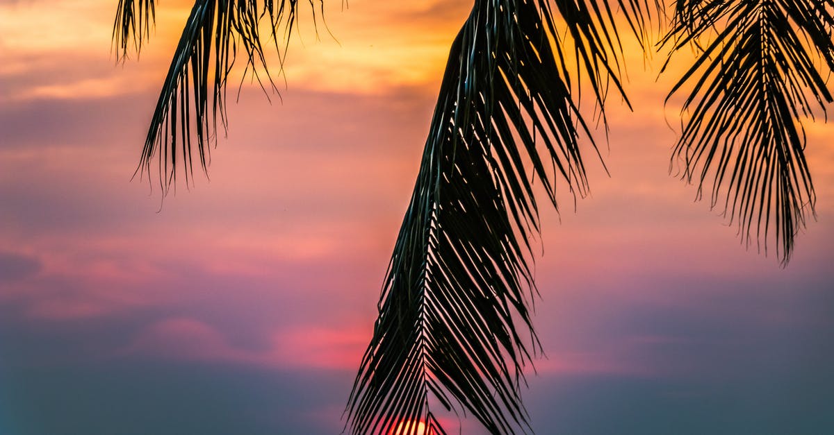 Finding Thailand Trek Guide (Khao Chang Puak and Sun Nhok Wua) - Sun Covered With Coconut Tree during Sunrise