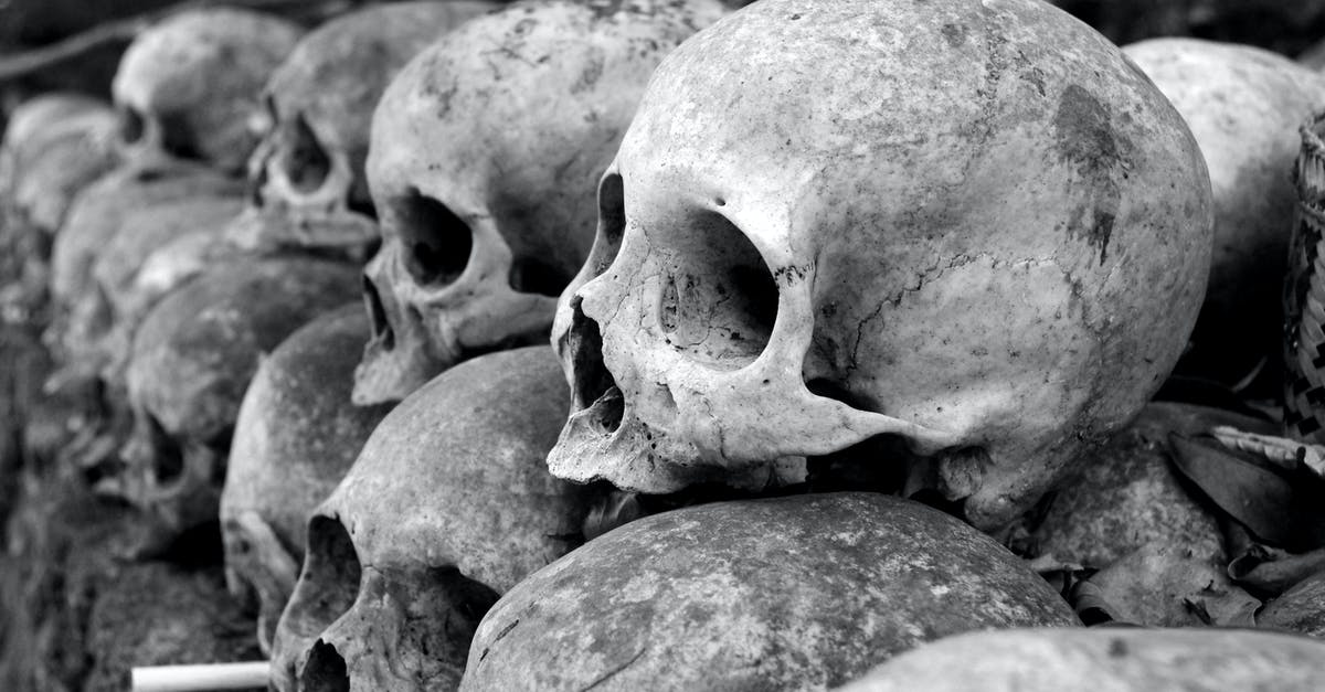 Finding the grave of Lin Zhao - Grey Skulls Piled on Ground