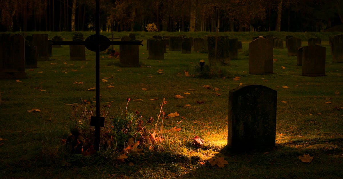 Finding the grave of Lin Zhao - Silhouette of Graves