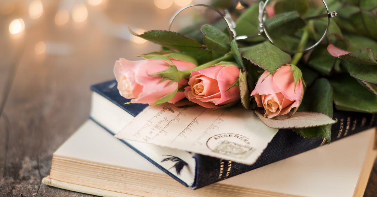 Flight booked but card not charged - Pink Rose Flowers and Book