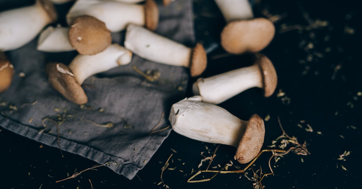 Flights to Greenland - seasonal ex-North America? - White Mushrooms on Black Textile