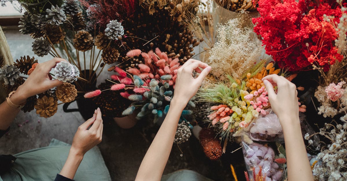 Flower shop in O'Hare? - From above of crop faceless florists in aprons sitting near blooming flowers and arranging plants during work day