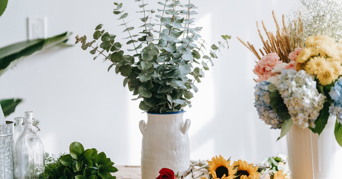 Flower shop in O'Hare? - Assorted blooming flowers and plant sprigs on table in shop